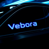 پخش شیشه دودی Vebora - تصویر 1
